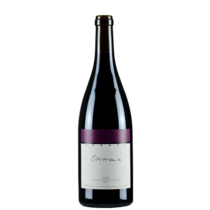Orizzonte Vdt Ticino
Christian Zündel, Beride