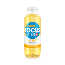 Focus Water Ananas Active 6er EW