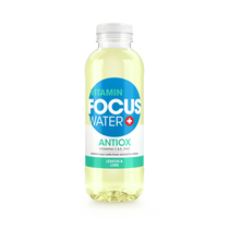 Focus Water Antiox Lemon 6er EW