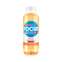 Focus Water Kick Pfirsich & Apfel 6er EW